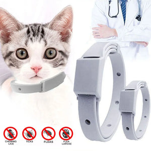 Best Flea Collar for Cats - Cat Flea Collar