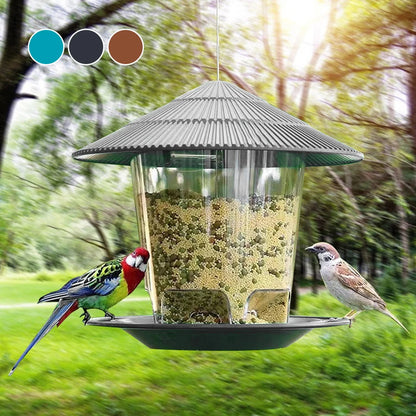 Hanging Bird Feeder - Outdoor Bird Feeder Success