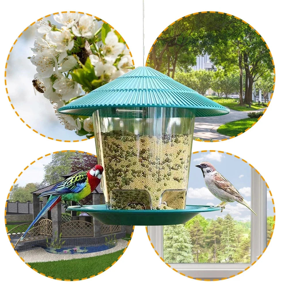 Hanging Bird Feeder - Outdoor Bird Feeder Success, Hanging bird feeder, bird feeder hanger, bird feeder hanging, hanger for bird feeder, outdoor bird feeder,