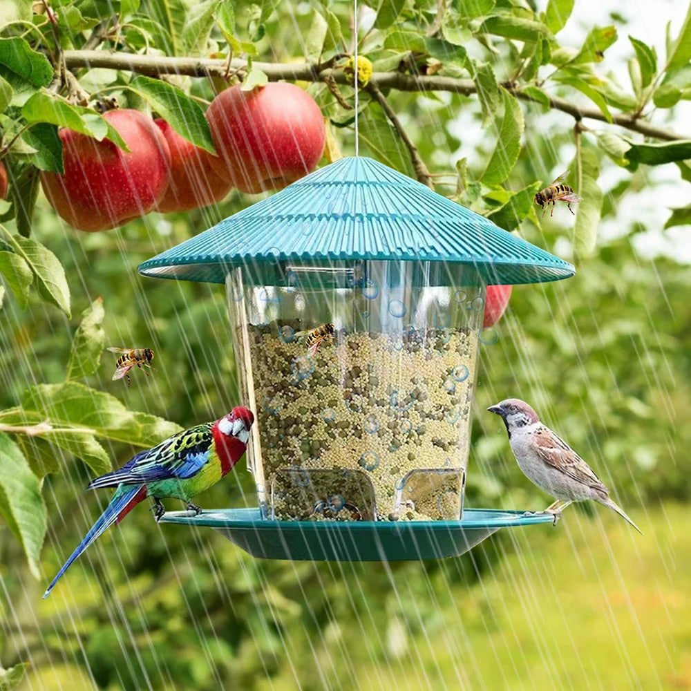 Hanging Bird Feeder - Outdoor Bird Feeder Success, Hanging bird feeder, bird feeder hanger, bird feeder hanging, hanger for bird feeder, outdoor bird feeder,