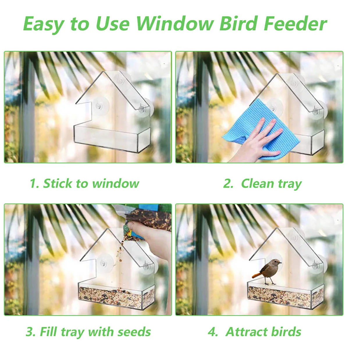 Window Bird Feeder - Squirrel Proof Bird Feeder, bird house feeder, bird feeder house, in house window bird feeder, bird house, window bird House, bird feeder, window bird feeder, squirrel proof bird feeder, best window bird feeder, bird feeder dome, bird feeder holder, cardinal bird feeder, bird feeder poles, baltimore ariole bird feeder, bird feeder cage, bird feeder,